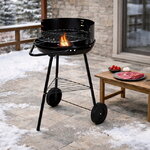 Угольный гриль Эйдриан 70*40 см