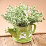 Декоративная лейка Fratelli Conigli 22 см салатовая