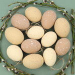 Пасхальные украшения Яйца: Propio Eggs 6 см, 12 шт, натуральные