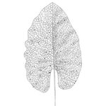 Декоративный лист Ажурная Калатея 67 см серебристый